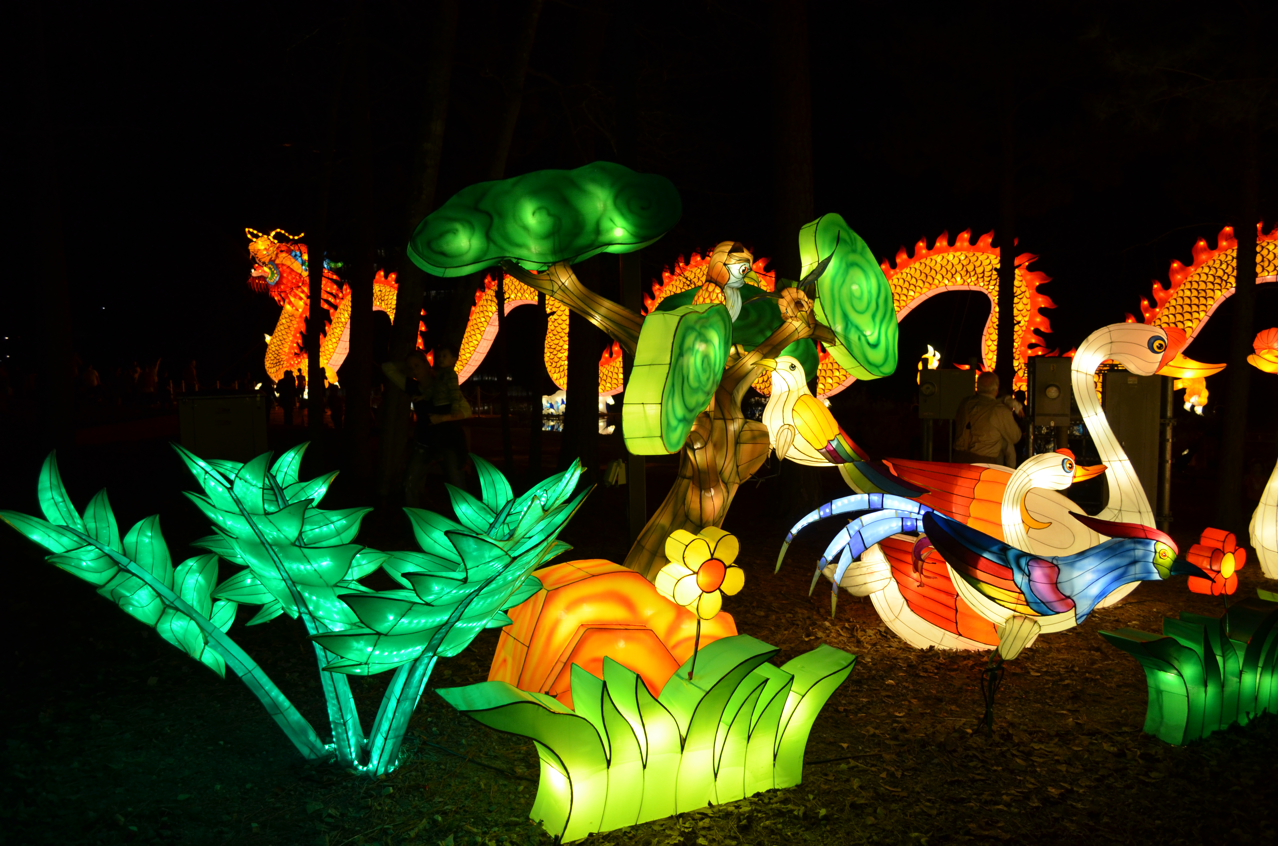 ./2015/33 - Chinese Lantern Festival/DSC_0600.JPG